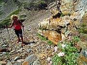 54 Rocce del verrucano lombardo e fiori 